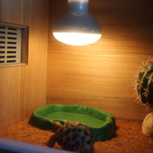 Load image into Gallery viewer, 25W-100W UVA Pet Reptile Heating Lamp Heat Light Bulb Turtle Lizard Heater Bulb Full Spectrum Sunlamp for Amphibian
