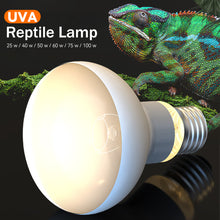 Load image into Gallery viewer, 25W-100W UVA Pet Reptile Heating Lamp Heat Light Bulb Turtle Lizard Heater Bulb Full Spectrum Sunlamp for Amphibian
