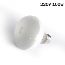 Load image into Gallery viewer, 25W-100W UVA Pet Reptile Heating Lamp Heat Light Bulb Turtle Lizard Heater Bulb Full Spectrum Sunlamp for Amphibian
