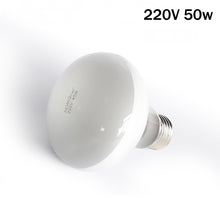 Load image into Gallery viewer, 25W-100W UVA Pet Reptile Heating Lamp Heat Light Bulb Turtle Lizard Heater Bulb Full Spectrum Sunlamp for Amphibian
