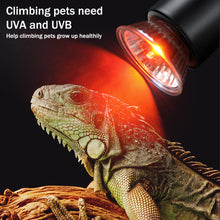Load image into Gallery viewer, 25W-100W UVA+UVB Pet Reptile Heating Lamp Heat Light Bulb Turtle Lizard Heater Bulb Full Spectrum Sunlamp for Amphibian
