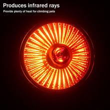 Load image into Gallery viewer, 25W-100W UVA+UVB Pet Reptile Heating Lamp Heat Light Bulb Turtle Lizard Heater Bulb Full Spectrum Sunlamp for Amphibian
