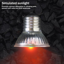 Load image into Gallery viewer, 25W-100W UVA+UVB Pet Reptile Heating Lamp Heat Light Bulb Turtle Lizard Heater Bulb Full Spectrum Sunlamp for Amphibian
