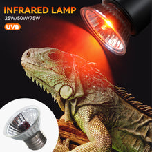 Load image into Gallery viewer, 25W-100W UVA+UVB Pet Reptile Heating Lamp Heat Light Bulb Turtle Lizard Heater Bulb Full Spectrum Sunlamp for Amphibian
