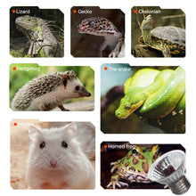 Load image into Gallery viewer, 25W-100W UVA+UVB Pet Reptile Heating Lamp Heat Light Bulb Turtle Lizard Heater Bulb Full Spectrum Sunlamp for Amphibian
