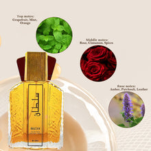 Load image into Gallery viewer, 100ML Arabic Dubai Genuine Men Perfume Charming Pheromone Of Man To Attract Women Light Fragrance Woody Scent EDP
