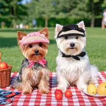 Load image into Gallery viewer, Spring Pet Sun Hat for Cats and Dogs Breathable Fisherman Cap with Ear Holes Sun Protection and Shade for Outdoor Activities
