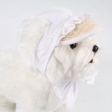 Load image into Gallery viewer, Spring Pet Sun Hat for Cats and Dogs Breathable Fisherman Cap with Ear Holes Sun Protection and Shade for Outdoor Activities
