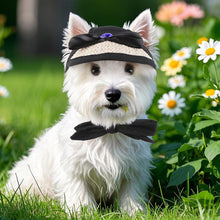 Load image into Gallery viewer, Spring Pet Sun Hat for Cats and Dogs Breathable Fisherman Cap with Ear Holes Sun Protection and Shade for Outdoor Activities
