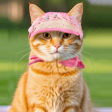 Load image into Gallery viewer, Spring Pet Sun Hat for Cats and Dogs Breathable Fisherman Cap with Ear Holes Sun Protection and Shade for Outdoor Activities
