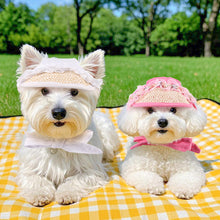 Load image into Gallery viewer, Spring Pet Sun Hat for Cats and Dogs Breathable Fisherman Cap with Ear Holes Sun Protection and Shade for Outdoor Activities
