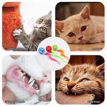 Load image into Gallery viewer, Cat Interactive Toys Colorful Caterpillar TPR Bell Balls Toy Puzzle Teasing Cat Toy Plush Tail Simulation Worm Kitten Toy

