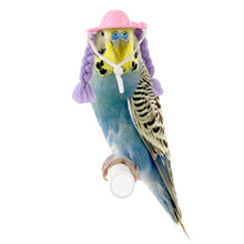 Load image into Gallery viewer, Cute Mini Cap Small Pets Decoration Hat Hamster Parrot Guinea Pig Braided Hair Hats Doll Accessories Pets Party Costume Caps
