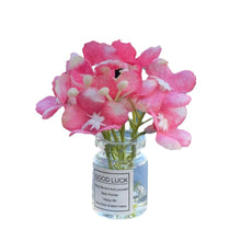 Load image into Gallery viewer, Mini Car Air Outlet Decoration Ornaments Babysbreath Jasmine Vase Glass Micro Landscape Interior Console
