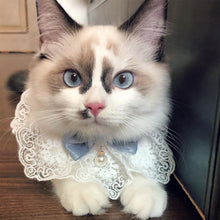 Load image into Gallery viewer, Lace Bowknot Pearl Collar Cat Dog Neckerchief Pet Cats Kitten Dog Puppy String Bib Necklace Necktie Neck Strap Scarf Accessories
