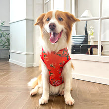 Load image into Gallery viewer, 4-17.5kg Golden Retriever French Bulldog Clothes Summer Breathable Soft Pet Clothes For Medium and Large Dogs L-3XL
