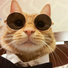 Load image into Gallery viewer, 1PC Cool Pet Cat Glasses Dog Glasses For Little Dog Cat Sunglasses Reflection Photos Props For Photography Pet Cat Accessories
