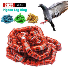 Load image into Gallery viewer, 10/50Pcs 2025 Years Pigeons Foot Ring 8x11mm Pigeons Foot Ring Parrots Leg Rings Birds Training Tool with Nnumbers
