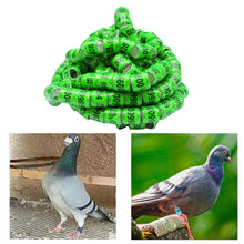 Load image into Gallery viewer, 10/50Pcs 2025 Years Pigeons Foot Ring 8x11mm Pigeons Foot Ring Parrots Leg Rings Birds Training Tool with Nnumbers
