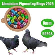 Load image into Gallery viewer, 10/50Pcs 2025 Years Pigeons Foot Ring 8x11mm Pigeons Foot Ring Parrots Leg Rings Birds Training Tool with Nnumbers
