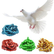 Load image into Gallery viewer, 10/50Pcs 2025 Years Pigeons Foot Ring 8x11mm Pigeons Foot Ring Parrots Leg Rings Birds Training Tool with Nnumbers
