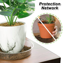 Load image into Gallery viewer, Transparent Thickened PET Circular Flowerpot Tray Water Tray Flower Tray Cushion Base
