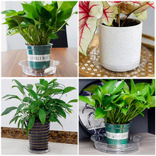 Load image into Gallery viewer, Transparent Thickened PET Circular Flowerpot Tray Water Tray Flower Tray Cushion Base
