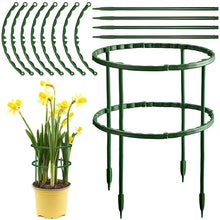 Load image into Gallery viewer, 4/6/8pcs/set Plant Support Pile Climbing Vine Flower Rack Plant Support Pile Garden Bonsai Tools Garden Bracket
