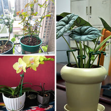 Load image into Gallery viewer, 10pcs/set Climbing Vine Frame Balcony Flower Frame Support Frame Potted Plant Flower Shaped Support Pole Fixed Anti Lodging Protective Frame
