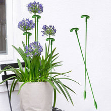 Load image into Gallery viewer, 10pcs/set Climbing Vine Frame Balcony Flower Frame Support Frame Potted Plant Flower Shaped Support Pole Fixed Anti Lodging Protective Frame
