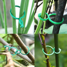 Load image into Gallery viewer, 50pcs/set Horticultural Eight Character Buckle Garden Vegetable Garden Green Plants Fruits Vegetables Fixed Clip Grape Seedlings Vine Ties Eight Character Buckle Bracket
