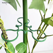 Load image into Gallery viewer, 50pcs/set Horticultural Eight Character Buckle Garden Vegetable Garden Green Plants Fruits Vegetables Fixed Clip Grape Seedlings Vine Ties Eight Character Buckle Bracket

