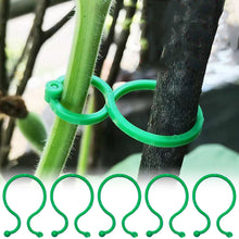 Load image into Gallery viewer, 50pcs/set Horticultural Eight Character Buckle Garden Vegetable Garden Green Plants Fruits Vegetables Fixed Clip Grape Seedlings Vine Ties Eight Character Buckle Bracket
