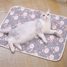 Load image into Gallery viewer, Summer Breathable Dog Mat Cooling Summer Pad For Dogs Cat Sofa Mat Breathable Pet Pad For Small Medium Large Dogs
