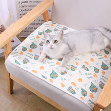 Load image into Gallery viewer, Summer Breathable Dog Mat Cooling Summer Pad For Dogs Cat Sofa Mat Breathable Pet Pad For Small Medium Large Dogs
