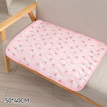 Load image into Gallery viewer, Summer Breathable Dog Mat Cooling Summer Pad For Dogs Cat Sofa Mat Breathable Pet Pad For Small Medium Large Dogs
