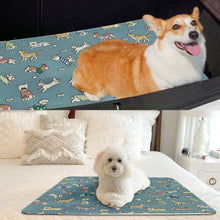 Load image into Gallery viewer, Summer Breathable Dog Mat Cooling Summer Pad For Dogs Cat Sofa Mat Breathable Pet Pad For Small Medium Large Dogs
