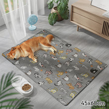 Load image into Gallery viewer, Summer Breathable Dog Mat Cooling Summer Pad For Dogs Cat Sofa Mat Breathable Pet Pad For Small Medium Large Dogs
