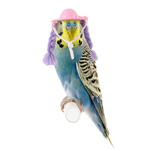 Load image into Gallery viewer, Pet Hamster Budgerigar Cockatiel Peony Parrot Bird Hat Funny Braid Hat Parrot Hat Small Animals Mini Hat Birds Toys

