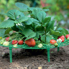 Load image into Gallery viewer, Strawberry Planting Tray Bracket Gardening Potted Fruit Home Green Plant Splicing Anti Rot Leaf Fruit Rack Support Bracket
