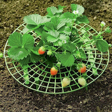Load image into Gallery viewer, Strawberry Planting Tray Bracket Gardening Potted Fruit Home Green Plant Splicing Anti Rot Leaf Fruit Rack Support Bracket
