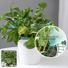 Load image into Gallery viewer, Strawberry Planting Tray Bracket Gardening Potted Fruit Home Green Plant Splicing Anti Rot Leaf Fruit Rack Support Bracket
