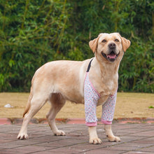 Load image into Gallery viewer, Dog Elbow Brace Protector Anti-Lick Wound Soft Breathable Pain Relief Shoulder Support Elbow Sleeves Pads for Canine Elbow

