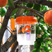 Load image into Gallery viewer, LED Solar Powered Wasp Fly Trap Lights Waterproof Outdoor Hanging Trap Safe Non-Toxic Bee Hornet Traps Reusable Garden Supplies
