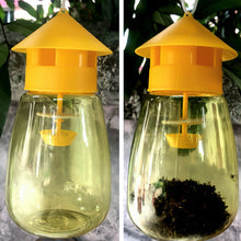 Load image into Gallery viewer, Fruit Fly Trap Killer Yellow Plastic Drosophila Trap Anti Fly Fruit Fly killer Catcher Orchard Insect Trap Pest Control Products
