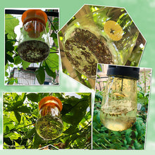 Load image into Gallery viewer, Fruit Fly Trap Killer Yellow Plastic Drosophila Trap Anti Fly Fruit Fly killer Catcher Orchard Insect Trap Pest Control Products
