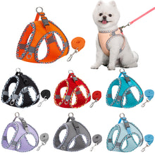 Load image into Gallery viewer, Small Medium Pet Dog Harness for Outdoor Use Set Dog Vest Strap Adjustable Breathable Harness for Dogs Puppy and Cats
