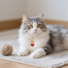 Load image into Gallery viewer, Ellipse Heart Shape Diamond Inlaid Pet Cat Collar Pets Shiny Crystal Collars Footprints Accessories For Kitten Dog Collar Cat Necklace
