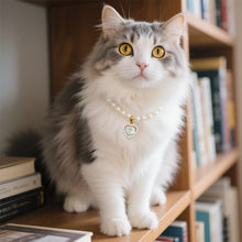 Load image into Gallery viewer, Ellipse Heart Shape Diamond Inlaid Pet Cat Collar Pets Shiny Crystal Collars Footprints Accessories For Kitten Dog Collar Cat Necklace
