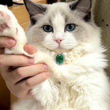 Load image into Gallery viewer, Ellipse Heart Shape Diamond Inlaid Pet Cat Collar Pets Shiny Crystal Collars Footprints Accessories For Kitten Dog Collar Cat Necklace
